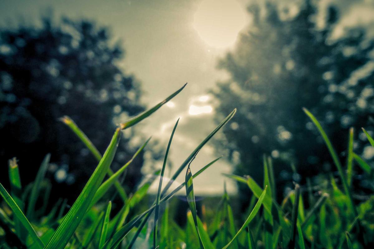 Honor Uji HP Baru dengan Baterai 11.000 mAh, Terbesar di Kelasnya