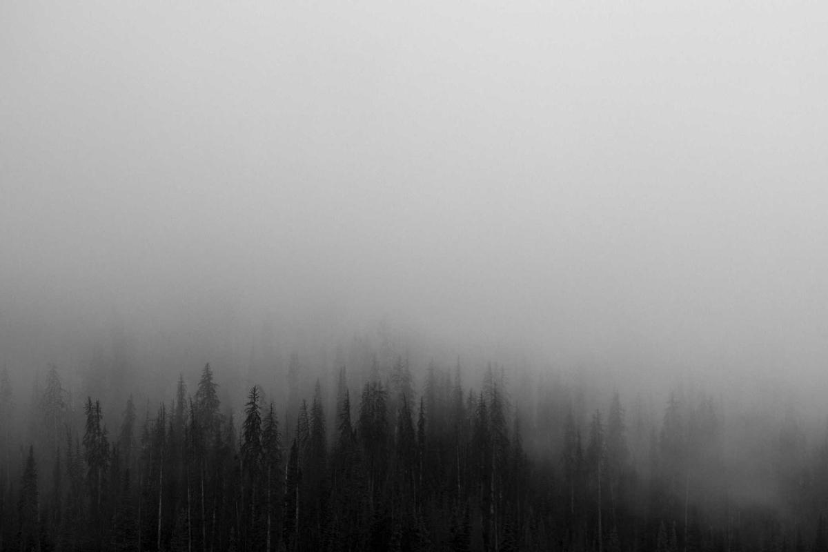 Deretan Produk Apple di 2026: Inovasi Baru dari iPhone 17e hingga MacBook Neo