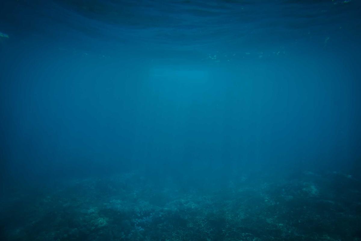 Bukan HP China, Inilah Raja Terbaru Smartphone Dunia