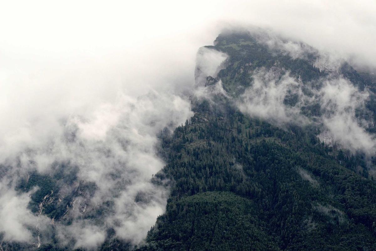 Vivo Hadirkan Sejumlah Smartphone Baru di Awal 2026, dari Flagship X300 Pro hingga Seri Y Terjangkau