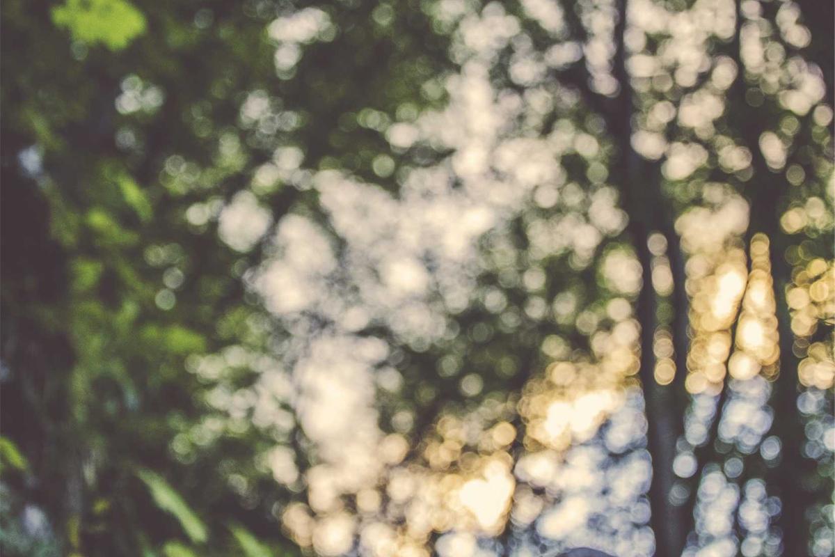 10 Hp Samsung Terbaik 2026: Rilisan Terbaru & Fitur AI Lengkap