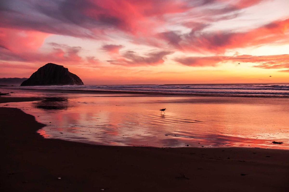 10 Hp Samsung Terbaik 2026: Rilisan Terbaru & Fitur AI Lengkap