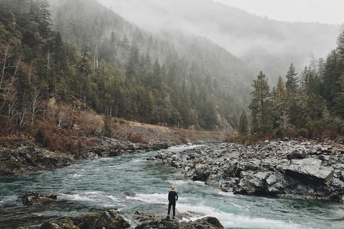 10 Hp Samsung Terbaik 2026: Rilisan Terbaru & Fitur AI Lengkap