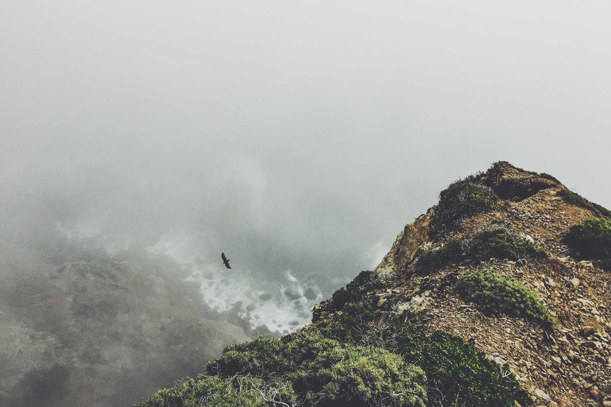 10 Hp Samsung Terbaik 2026: Rilisan Terbaru & Fitur AI Lengkap