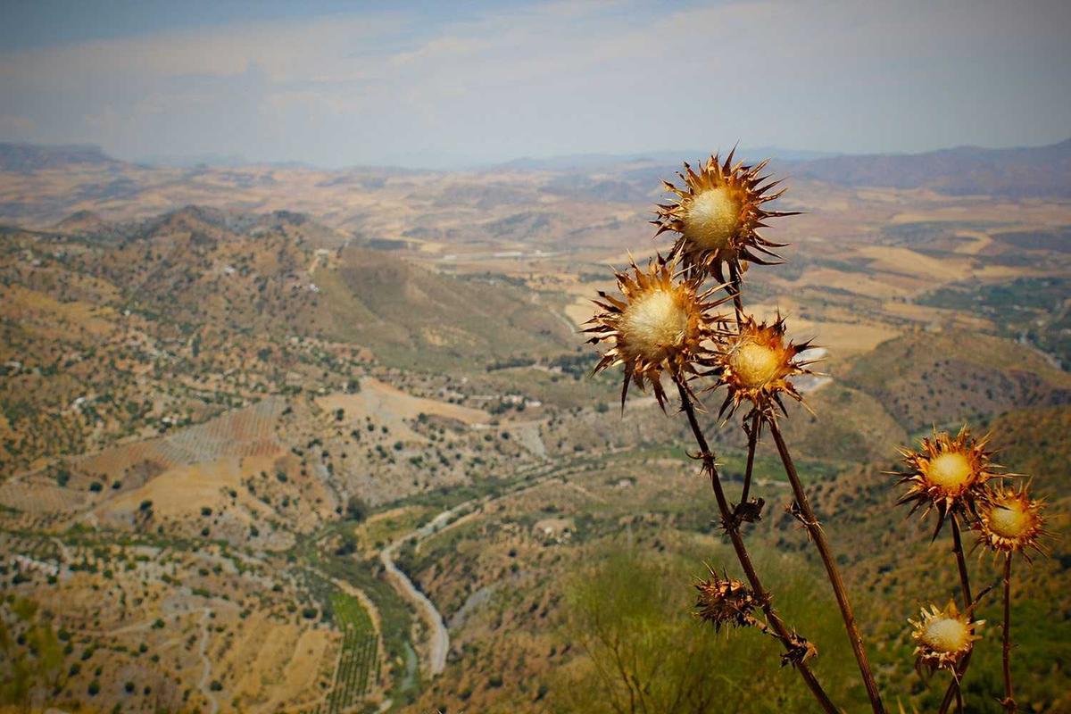 6 Fitur Baru Galaxy A57 5G & Galaxy A37 5G: AI Makin Pintar, Kamera Lebih Jernih, Performa Ngebut