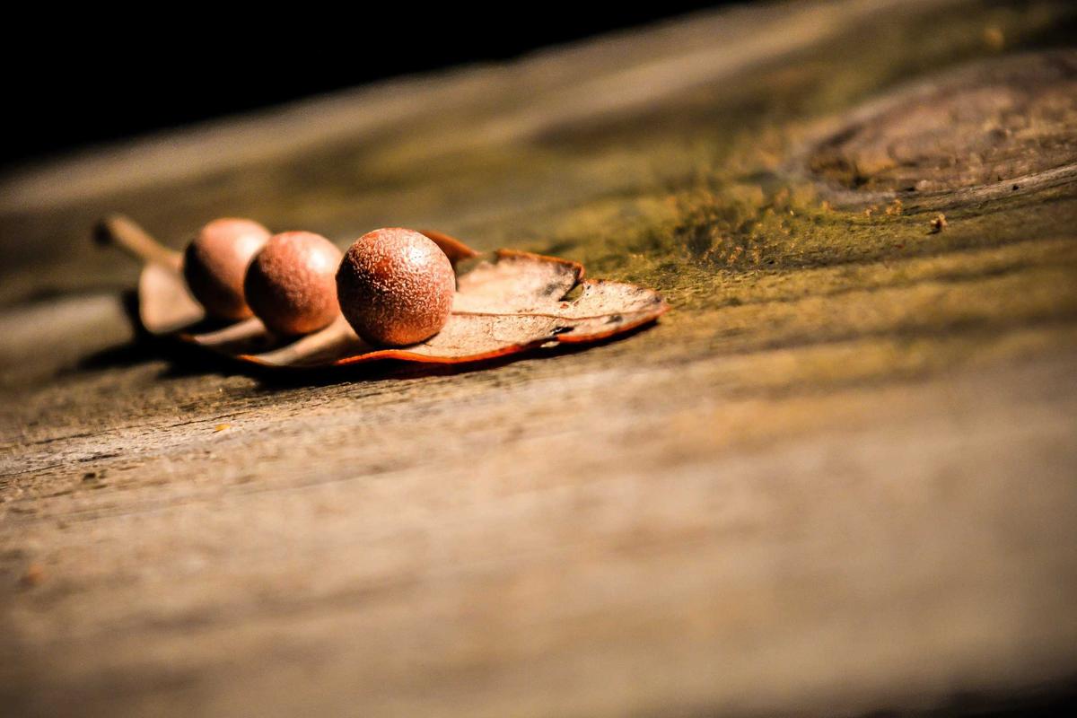 Smartphone Lenovo Terbaru Resmi Diperkenalkan, Rilis 19 Mei di China