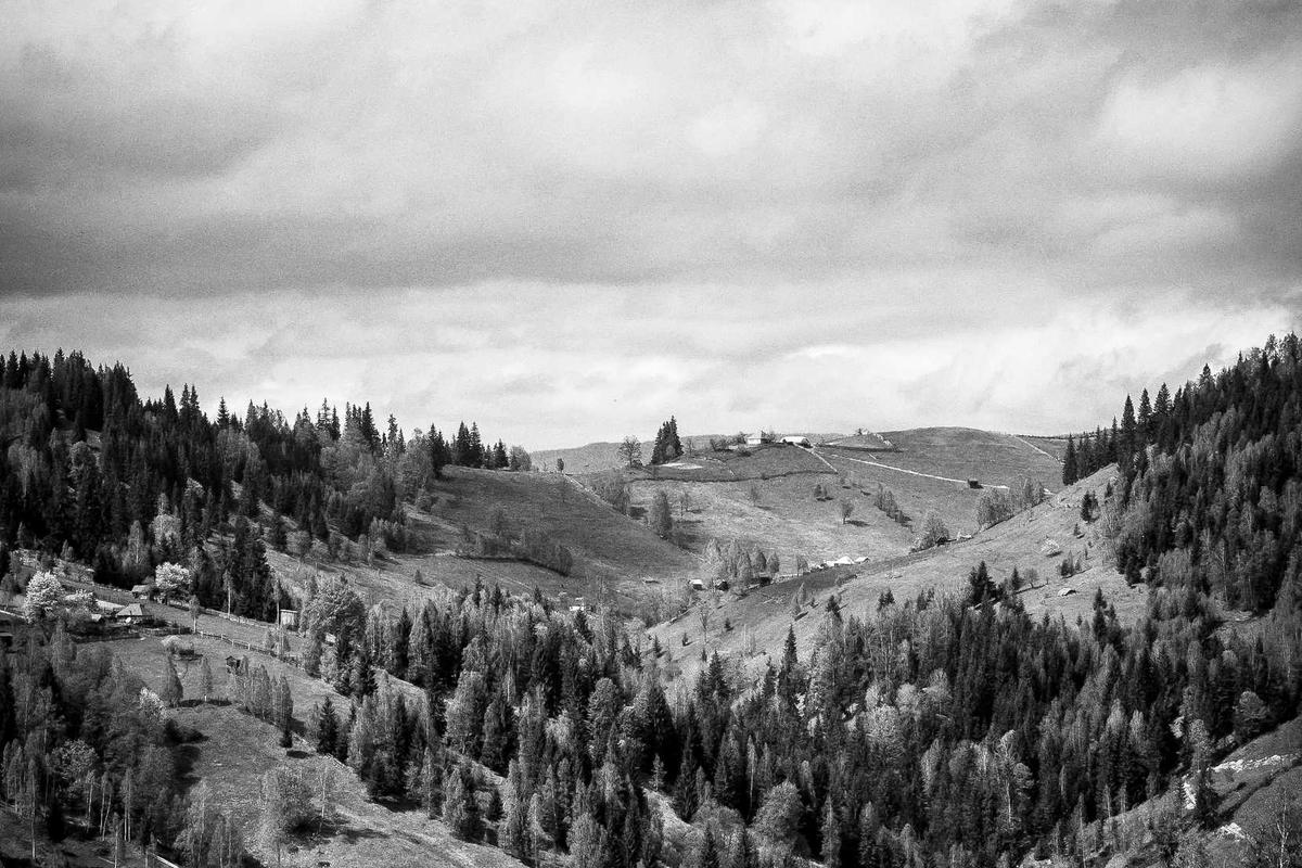 ASUS Absen Rilis Smartphone Baru di 2026