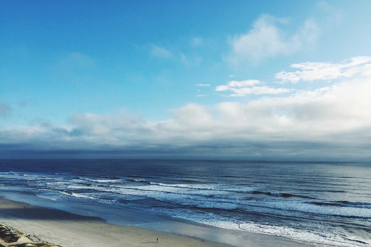 Intip Harga Oppo Reno 15 Terbaru, Smartphone Baru dengan Desain Elegan